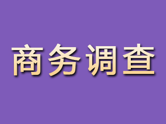 馆陶商务调查